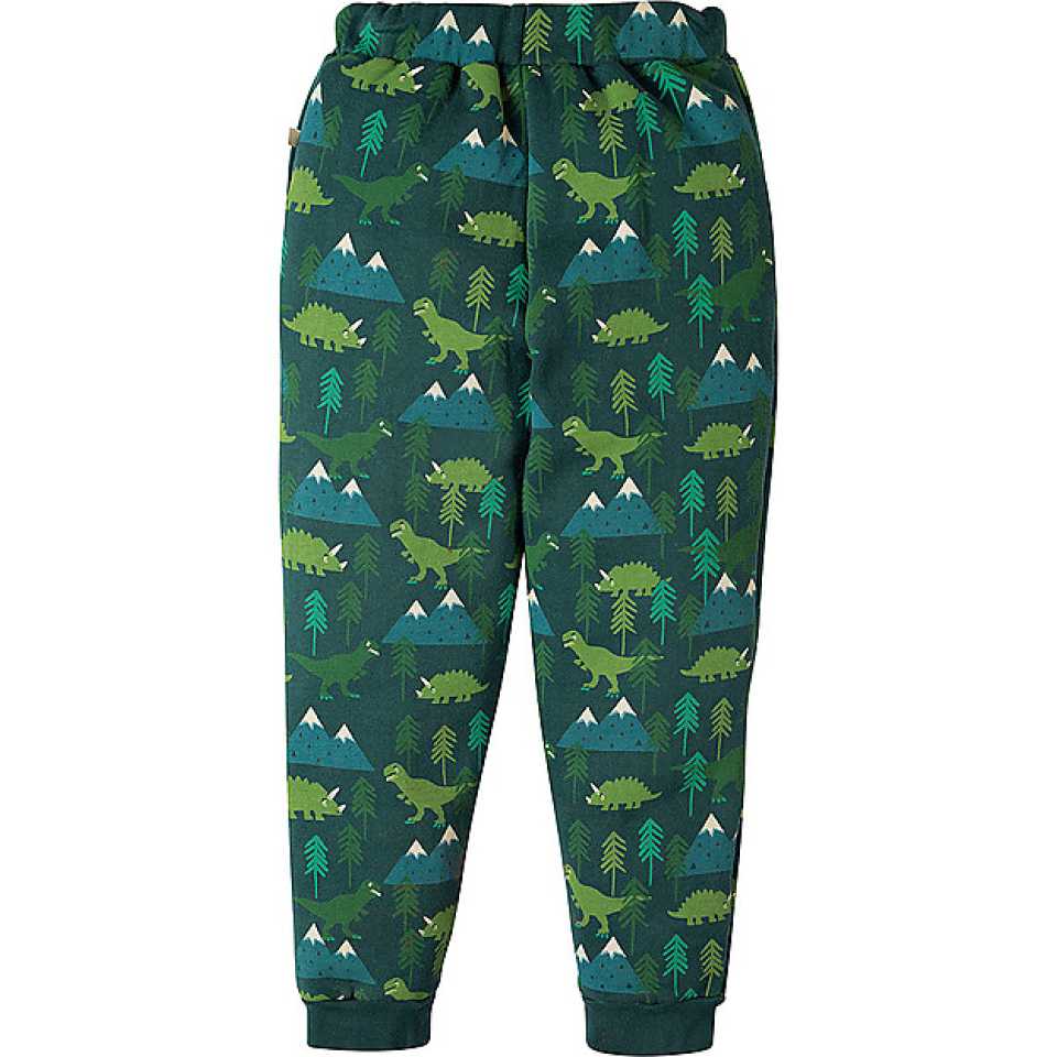 Pantaloni groși cu imprimeu dinozauri