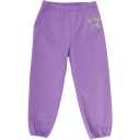 Pantaloni softshell mov cu polar în interior