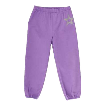 Pantaloni softshell mov cu polar în interior