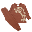Pijamale maro cu imprimeu dinozaur