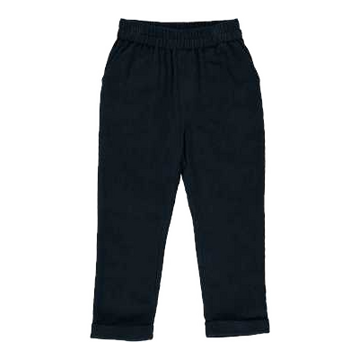 Pantaloni bleumarin din catifea raiată
