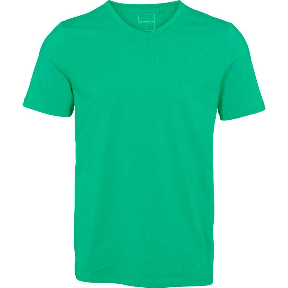 Tricou bărbați slim fit, cu decolteu în V, verde intens