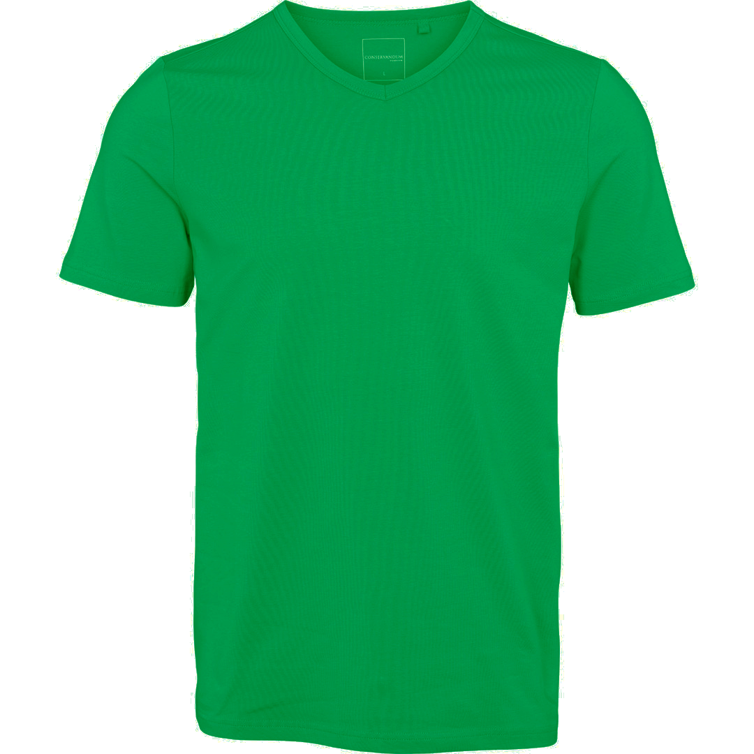 Tricou bărbați slim fit, cu decolteu în V, verde smarald