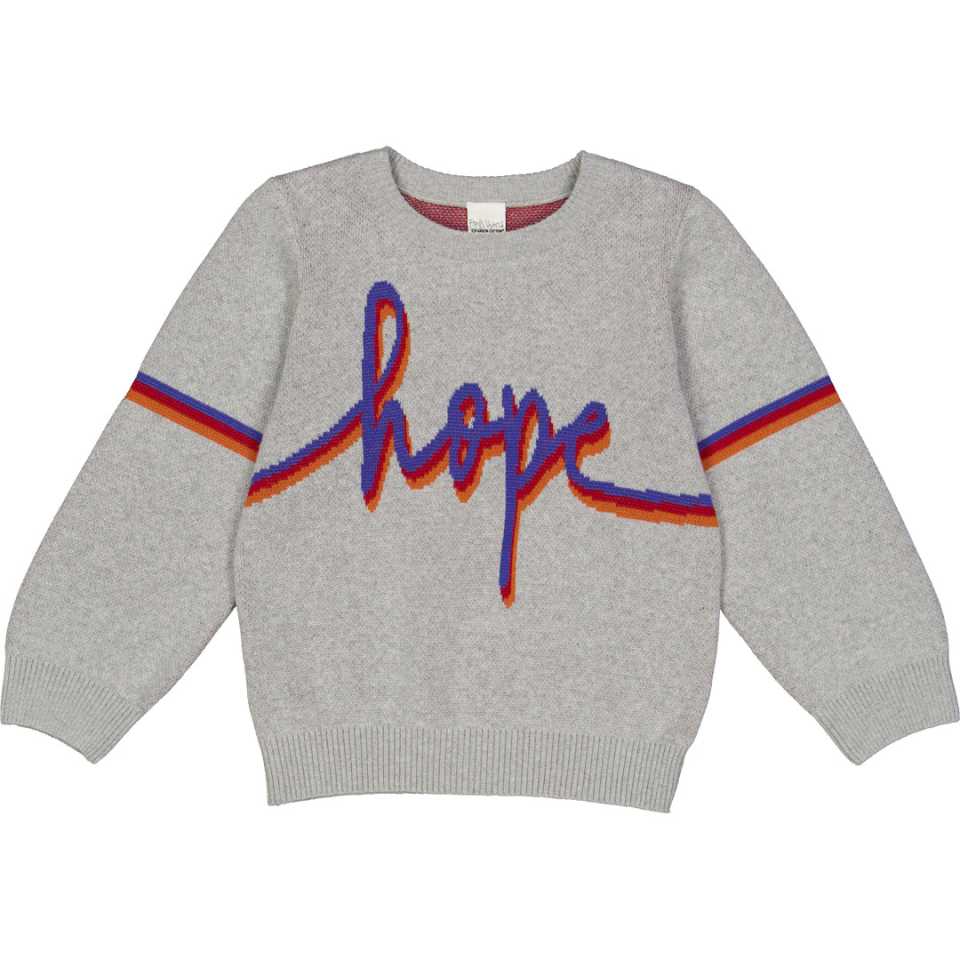 Pulover gri cu imprimeu Hope