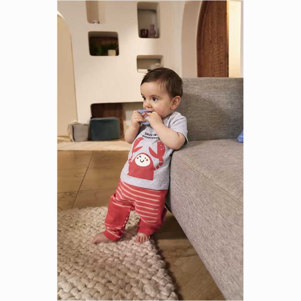 Tricou gri cu imprimeu crab