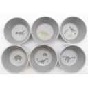 Set 6 boluri din bambus cu imprimeu dinozauri