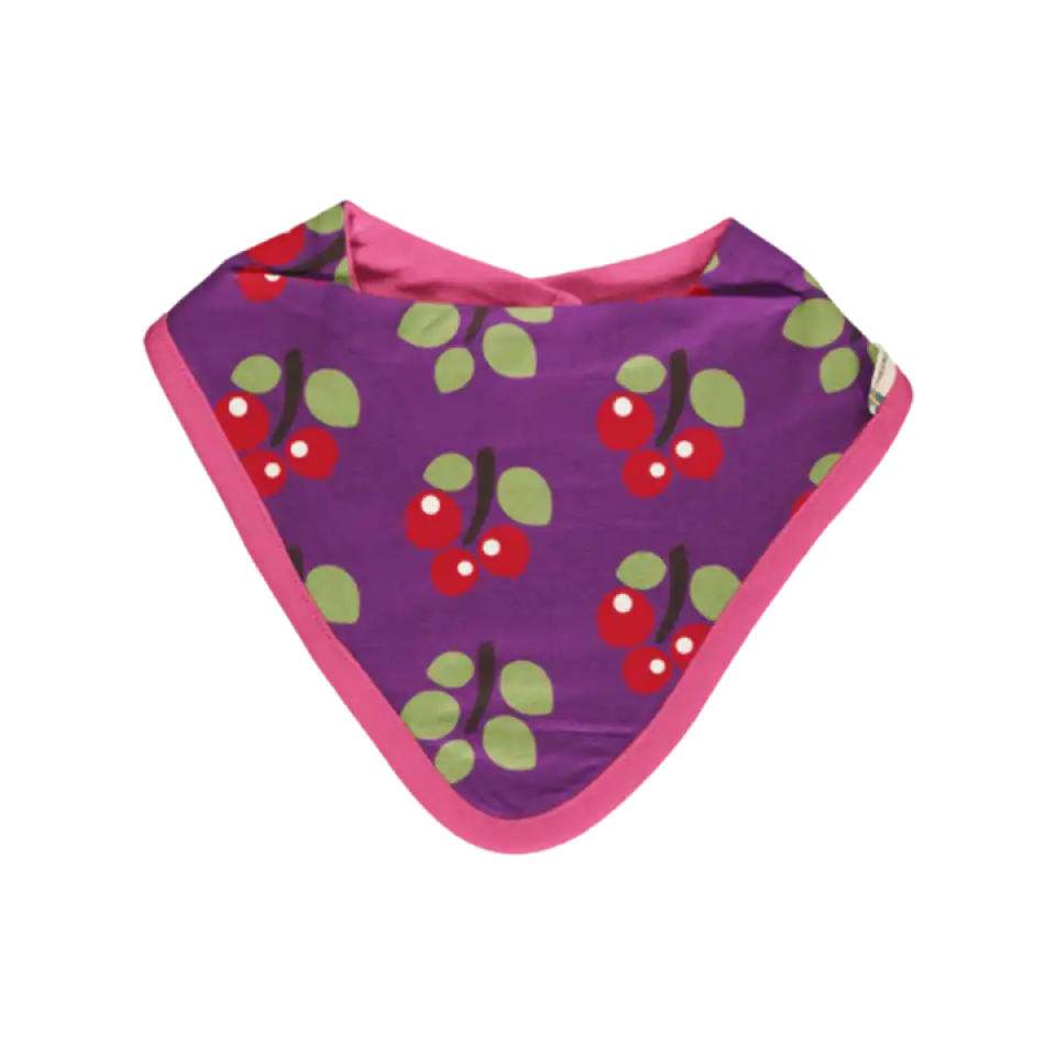 Bavetă Arctic Berry