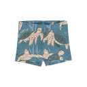 Boxeri copii din bumbac organic, cu imprimeu broaște țestoase