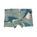 Boxeri fete din bumbac organic, cu imprimeu delfini