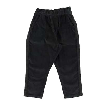 Pantaloni Eero din catifea