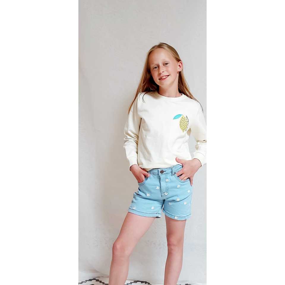 Pantaloni scurți din denim cu broderii